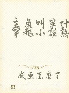 主角叫宁什么的穿越小说热门小说名字