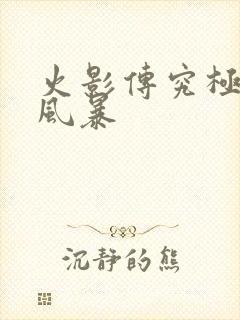 火影传究极忍者风暴