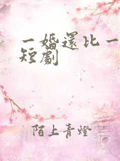 一婚还比一婚高短剧