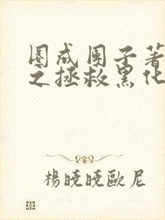 圈成团子著快穿之拯救黑化boss男主