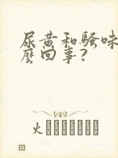 尿黄和骚味重怎么回事?