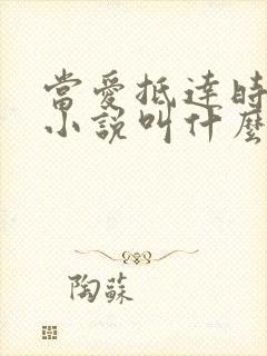 当爱抵达时原著小说叫什么