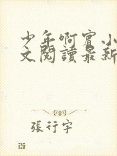 少年啊宾小说全文阅读最新章节txt