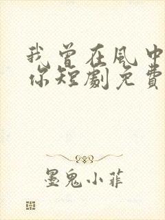 我曾在风中遇到你短剧免费观看