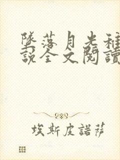 坠落月光稚夏小说全文阅读笔趣阁