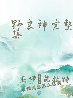 野良神完整版全集