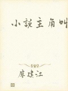 小说主角叫林枫