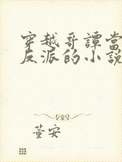 穿越哥谭当超级反派的小说