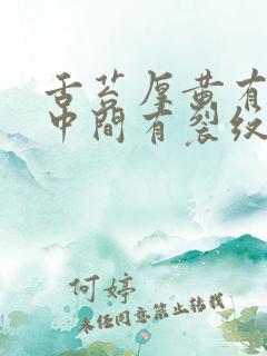 舌苔厚黄有齿痕中间有裂纹