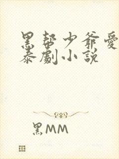 黑帮少爷爱上我泰剧小说