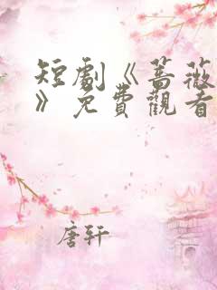 短剧《蔷薇风暴》免费观看全集