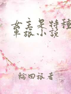 女主是特种兵的军旅小说