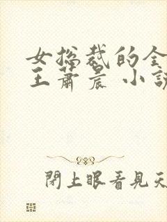 女总裁的全能兵王萧晨 小说