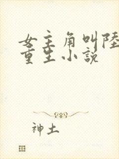 女主角叫陆晚的重生小说