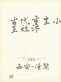 古代重生小说女主姓沐