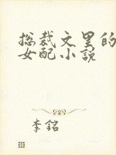 总裁文里的炮灰女配小说