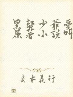 黑帮少爷爱上我原著小说叫什么