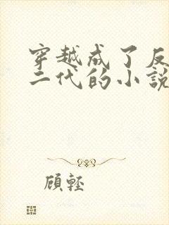 穿越成了反派富二代的小说叶枫