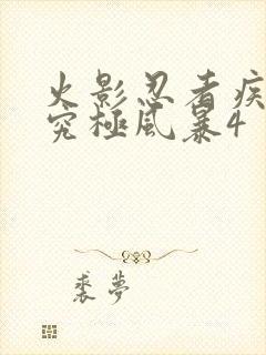 火影忍者疾风传究极风暴4