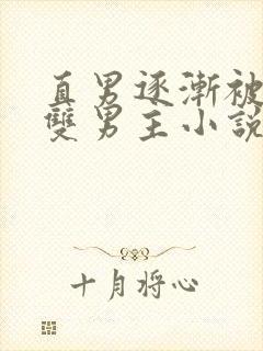 直男逐渐被掰弯双男主小说