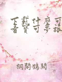 下载什么可以观看宝可梦旅途动漫