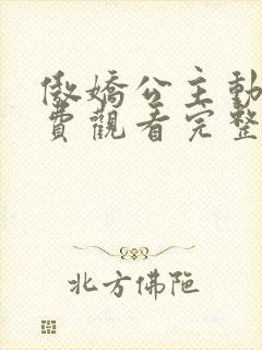 傲娇公主动漫免费观看完整版