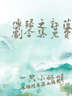 傅归之许蕴京短剧合集免费观看