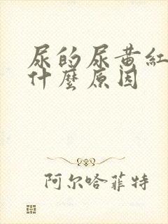 尿的尿黄红色是什么原因