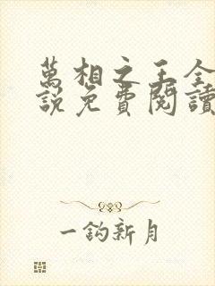 万相之王全本小说免费阅读