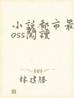 小说都市最强boss阅读