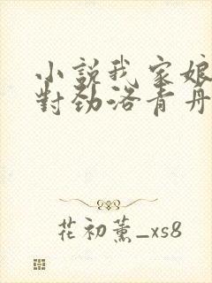 小说我家娘子不对劲洛青舟章节目录