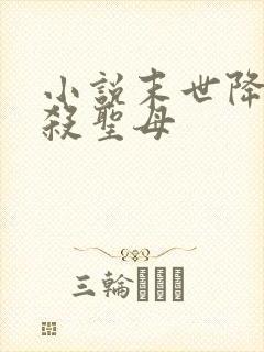 小说末世降临先杀圣母