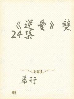 《逆爱》双男主24集