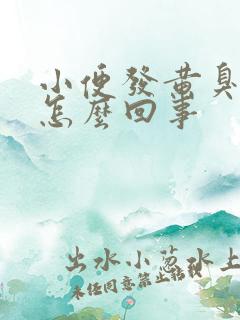 小便发黄臭味重怎么回事