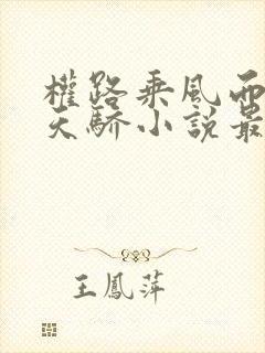 权路乘风而起化天骄小说最新章节