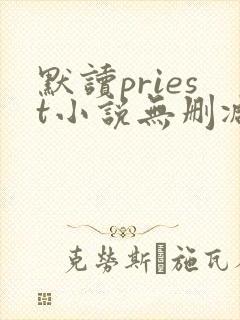 默读priest小说无删减正版在线阅读