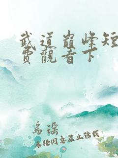 武道巅峰短剧免费观看下