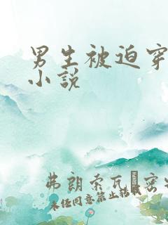 男生被迫穿女装小说