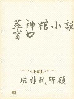 葬神棺小说无弹窗口