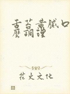 舌苔黄腻口苦怎么调理