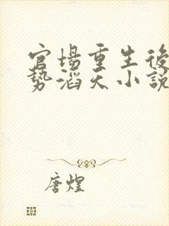 官场重生后我权势滔天小说