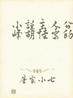 小说主人公叫秦峰胡佳云的小说