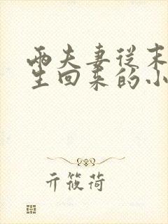 两夫妻从末世重生回来的小说