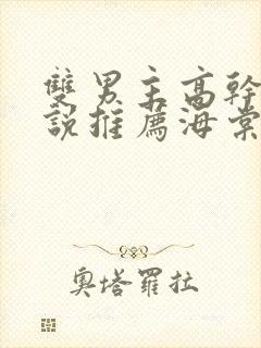 双男主高干文小说推荐海棠