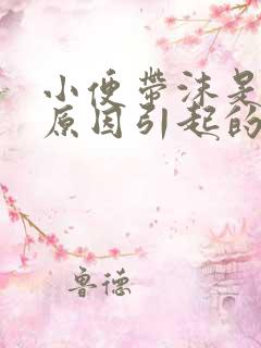 小便带沫是什么原因引起的