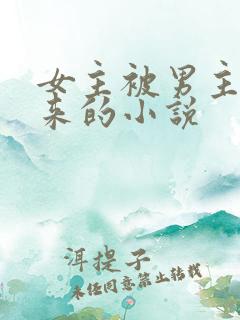 女主被男主买下来的小说