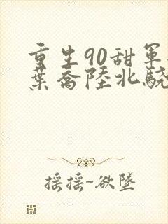 重生90甜军嫂叶乔陆北骁