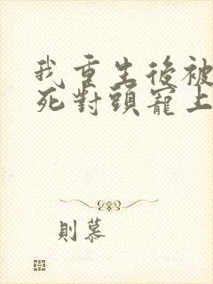 我重生后被渣男死对头宠上天