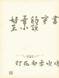 好看的穿书双男主小说