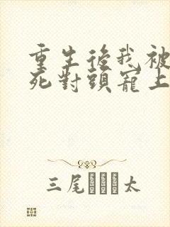 重生后我被渣男死对头宠上天短剧